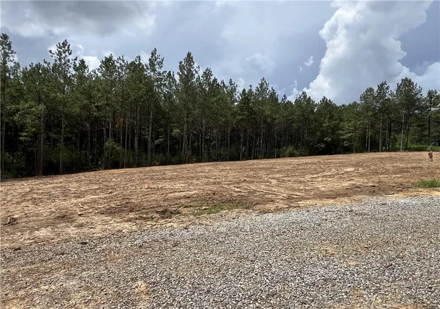 Photo 3 of Land for sale at Lot 5 Highway 25, Franklinton, LA 70438 | MLS# 2550590 | Listing updated on 2026-03-31
