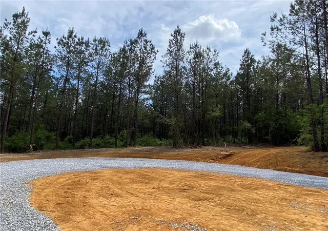 Homes for sale in Franklinton, LA | 63 Acres Erin Ln, Franklinton, LA 70438 | MLS# 2550598