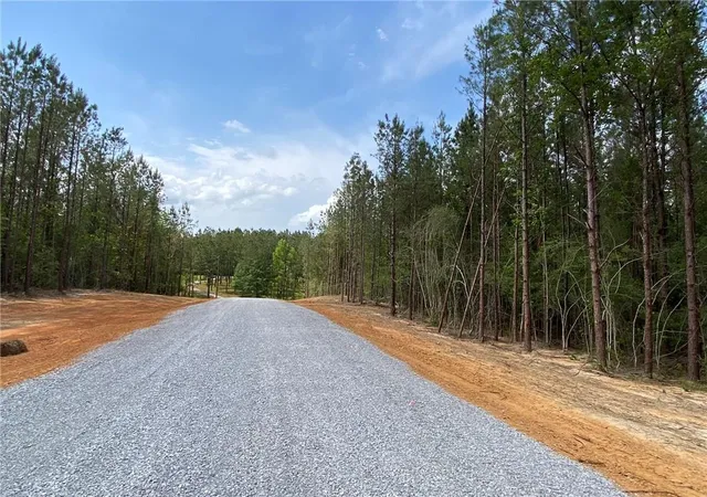 Homes for sale in Franklinton, LA | 63 Acres Erin Ln, Franklinton, LA 70438 | MLS# 2550598