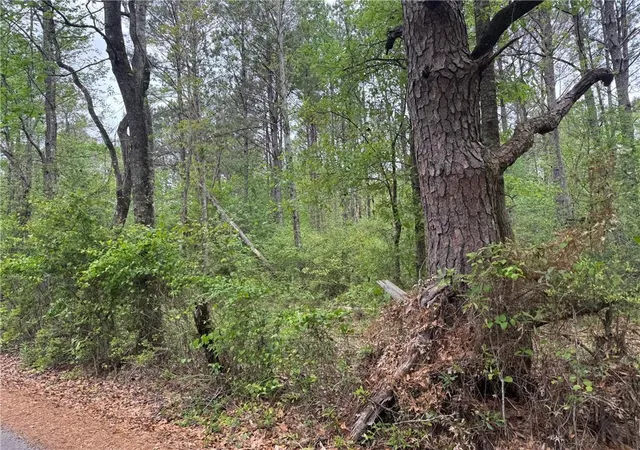 Photo 2 of Land for sale at 0 Pine Holw Rd, Covington, LA 70435 | MLS# 2550351 | Listing updated on 2026-05-20