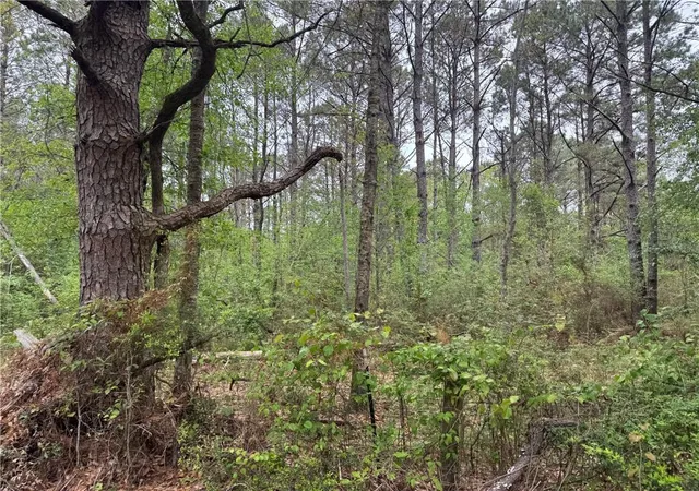 Photo 3 of Land for sale at 0 Pine Holw Rd, Covington, LA 70435 | MLS# 2550351 | Listing updated on 2026-05-20