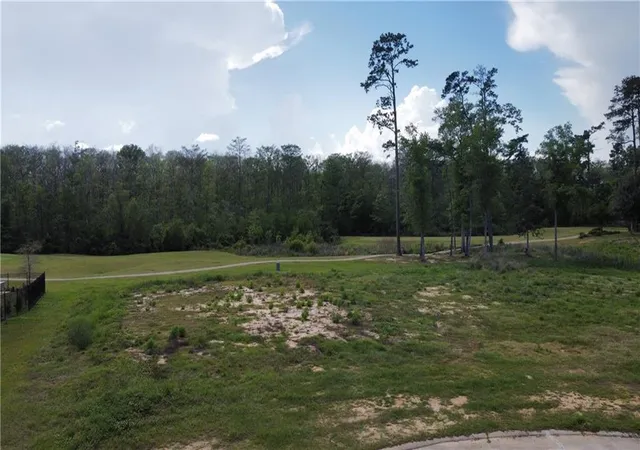 Homes for sale in Springfield, LA | Tbd Cypress Cvs, Springfield, LA 70462 | MLS# 2548754