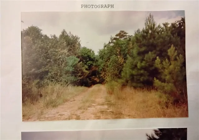 4th image of Randall Rd, Hammond, LA 70401 | MLS# 2550915