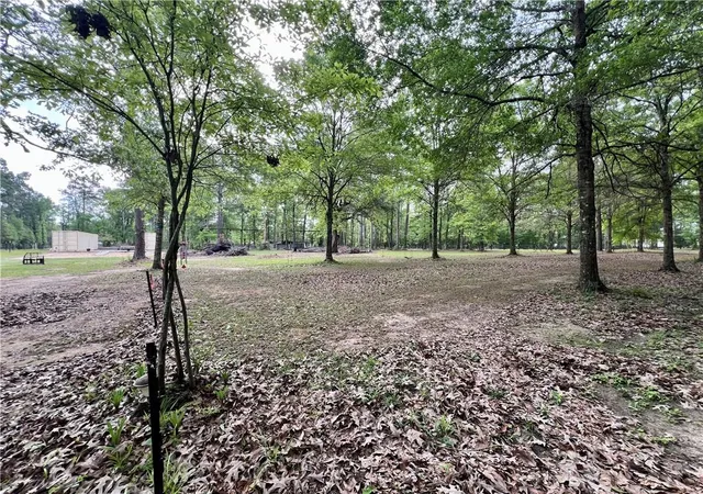 26th image of 16030 Gunboat Landing Rd, Maurepas, LA 70449 | MLS# 2550973