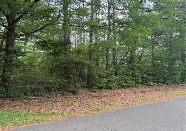 Photo 1 of Land for sale at Tbd W Saint Charles Ave, Loranger, LA 70446 | MLS# 2551345 | Listing updated on 2026-08-01