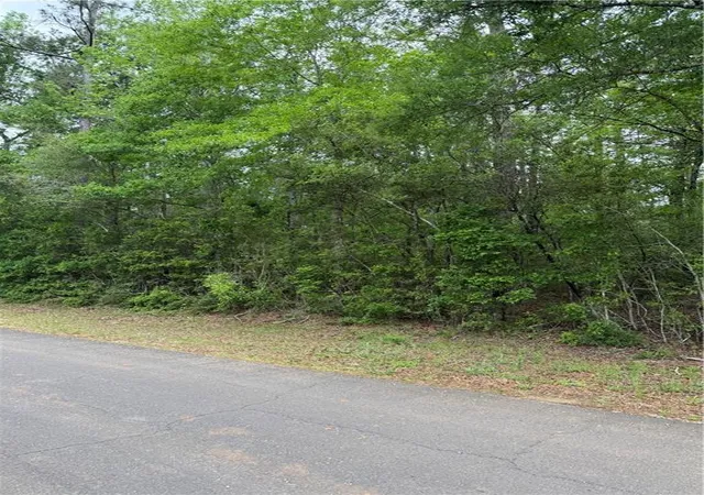 Photo 2 of Land for sale at Tbd W Saint Charles Ave, Loranger, LA 70446 | MLS# 2551345 | Listing updated on 2026-08-01