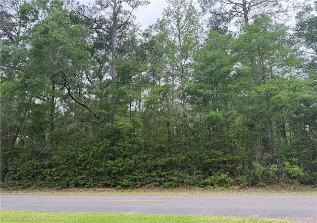 Photo 2 of Land for sale at Tbd W Saint Charles Ave, Loranger, LA 70446 | MLS# 2551345 | Listing updated on 2026-08-01
