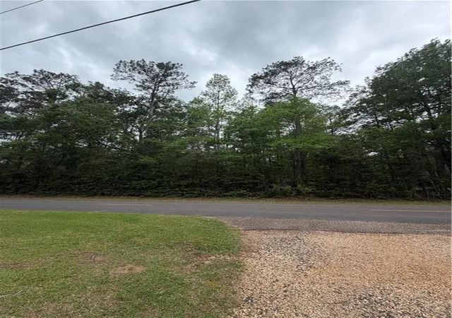 Photo 3 of Land for sale at Tbd W Saint Charles Ave, Loranger, LA 70446 | MLS# 2551345 | Listing updated on 2026-08-01