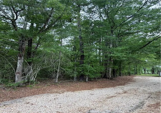 Photo 5 of Land for sale at Tbd W Saint Charles Ave, Loranger, LA 70446 | MLS# 2551345 | Listing updated on 2026-08-01