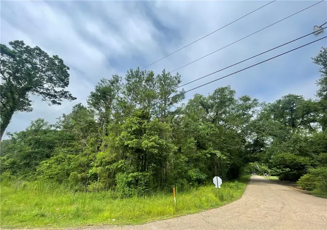 Photo 5 of Land for sale at 17040 E Charbonnet Rd, Ponchatoula, LA 70454 | MLS# 2545878 | Listing updated on 2026-04-06