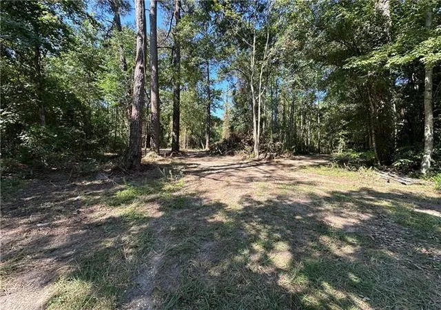 Photo 2 of Land for sale at Tbd La 437 Rd, Covington, LA 70435 | MLS# 2551831 | Listing updated on 2026-07-13