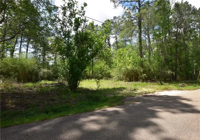 Photo 2 of Land for sale at 36151 Central Ave, Pearl River, LA 70452 | MLS# 2552359 | Listing updated on 2026-07-07