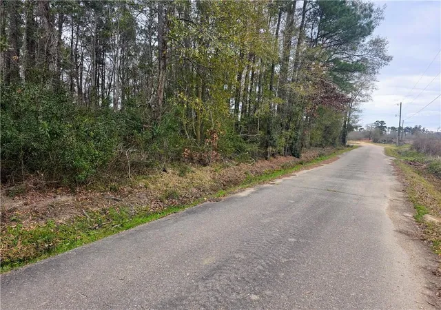 Photo 3 of Land for sale at 38786 Landry Ln, Ponchatoula, LA 70454 | MLS# 2552086 | Listing updated on 2026-04-13