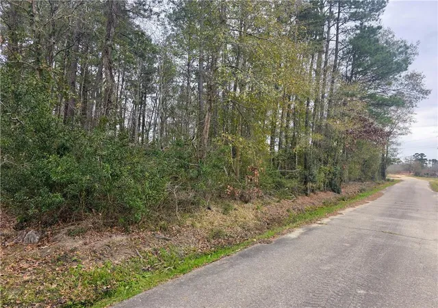 Photo 4 of Land for sale at 38786 Landry Ln, Ponchatoula, LA 70454 | MLS# 2552086 | Listing updated on 2026-04-13