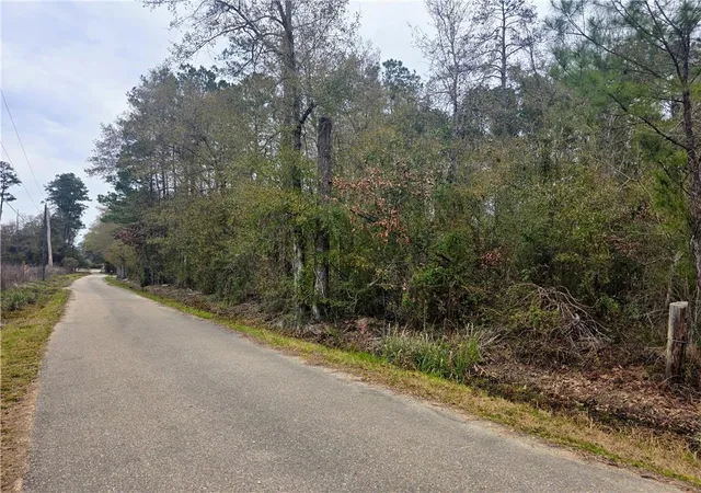 Photo 9 of Land for sale at 38786 Landry Ln, Ponchatoula, LA 70454 | MLS# 2552086 | Listing updated on 2026-04-13