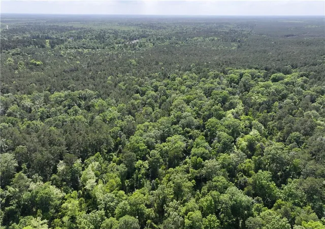 Photo 1 of Land for sale at Elmore Mckigney Ln, Springfield, LA 70462 | MLS# 2552780 | Listing updated on 2026-06-17