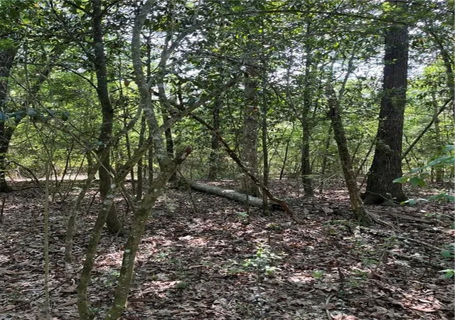 Photo 28 of Land for sale at Elmore Mckigney Ln, Springfield, LA 70462 | MLS# 2552780 | Listing updated on 2026-06-17