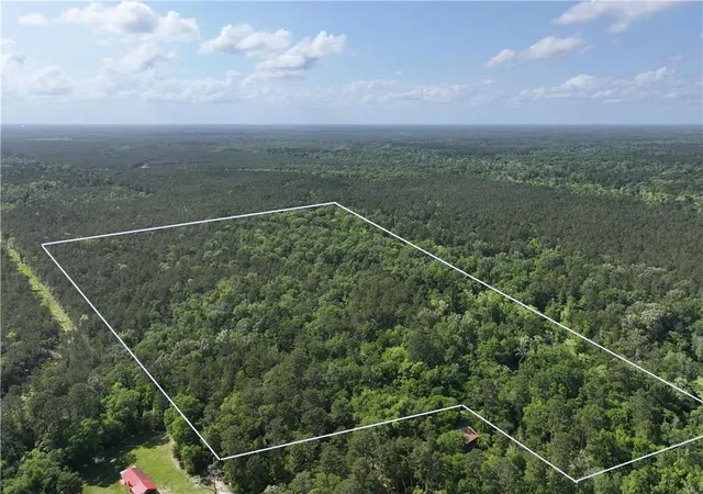 Photo 2 of Land for sale at Elmore Mckigney Ln, Springfield, LA 70462 | MLS# 2552780 | Listing updated on 2026-06-17