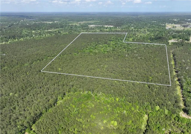 Photo 3 of Land for sale at Elmore Mckigney Ln, Springfield, LA 70462 | MLS# 2552780 | Listing updated on 2026-06-17