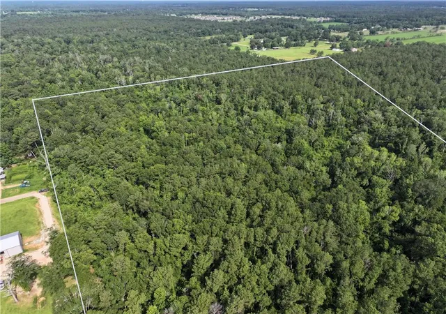 Homes for sale in Loranger, LA | Ellis Blvd Blvd, Loranger, LA 70446 | MLS# 2552810
