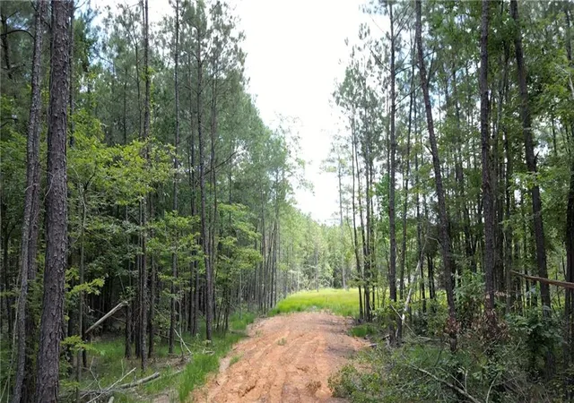 Homes for sale in Independence, LA | 35072 La 43 Hwy, Independence, LA 70443 | MLS# 2552824