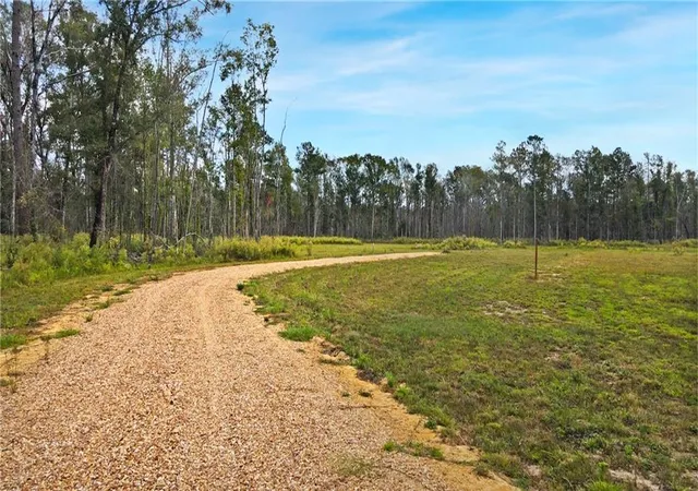 Homes for sale in Independence, LA | 51034 George Rd, Independence, LA 70443 | MLS# 2554098