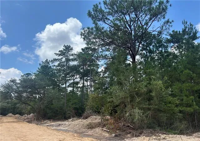 2nd image of Pellegrin Dr, Covington, LA 70435 | MLS# 2554079