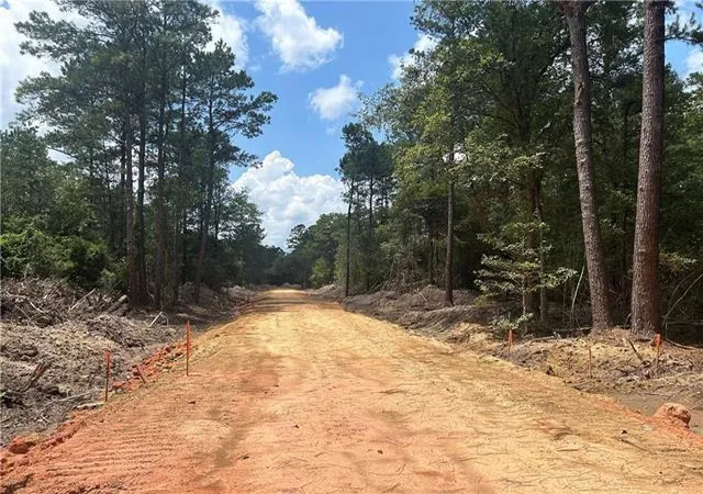 2nd image of 0 Pellegrin Dr, Covington, LA 70435 | MLS# 2554077