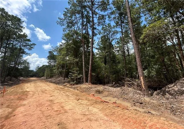 4th image of 0 Pellegrin Dr, Covington, LA 70435 | MLS# 2554077