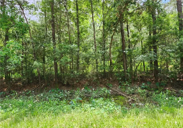 Photo 1 of Land for sale at 30325 Clesi Ave, Lacombe, LA 70445 | MLS# 2554173 | Listing updated on 2026-08-28