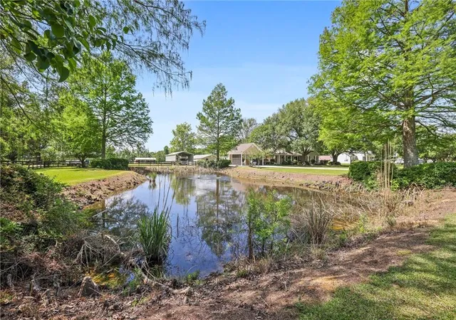 Photo 3 of Single family home for sale at 18406 Highway 442 E, Independence, LA 70443 | MLS# 2553736 | Listing updated on 2026-08-03