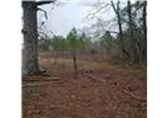 Homes for sale in Kentwood, LA | 71939 1054 Hwy, Kentwood, LA 70444 | MLS# 2553915