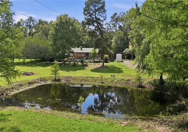 Homes for sale in Kentwood, LA | 77211 N River Rd, Kentwood, LA 70444 | MLS# 2554685