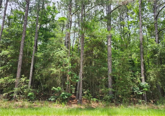 1st image of 001 Labarre St, Mandeville, LA 70448 | MLS# 2554815