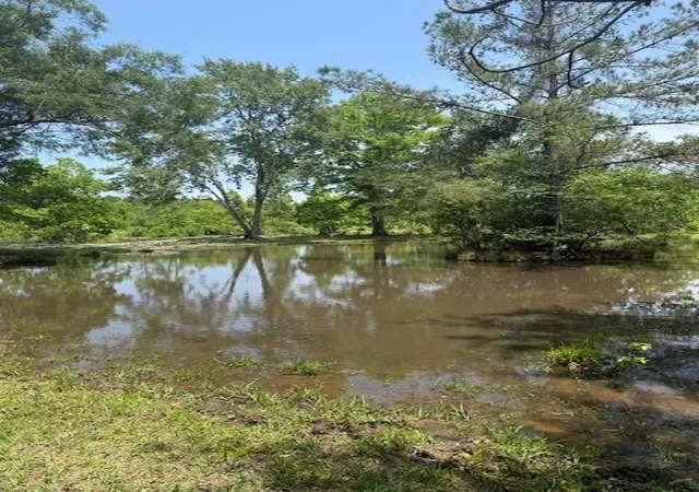 Photo 3 of Land for sale at Boyd Rd, Covington, LA 70435 | MLS# 2555200 | Listing updated on 2026-07-25