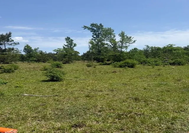 Photo 3 of Land for sale at Boyd Rd, Covington, LA 70435 | MLS# 2555200 | Listing updated on 2026-07-25