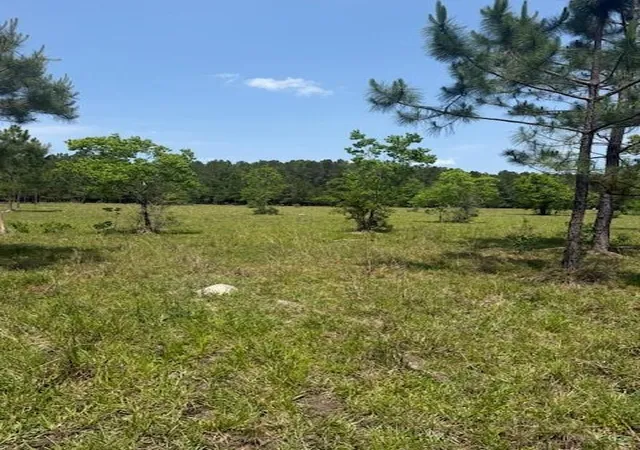Photo 4 of Land for sale at Boyd Rd, Covington, LA 70435 | MLS# 2555200 | Listing updated on 2026-07-25