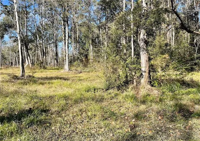 Photo 1 of Land for sale at Downey Rd, Slidell, LA 70461 | MLS# 2555268 | Listing updated on 2026-07-27