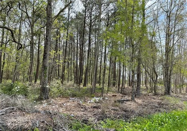 Photo 2 of Land for sale at Downey Rd, Slidell, LA 70461 | MLS# 2555268 | Listing updated on 2026-07-27