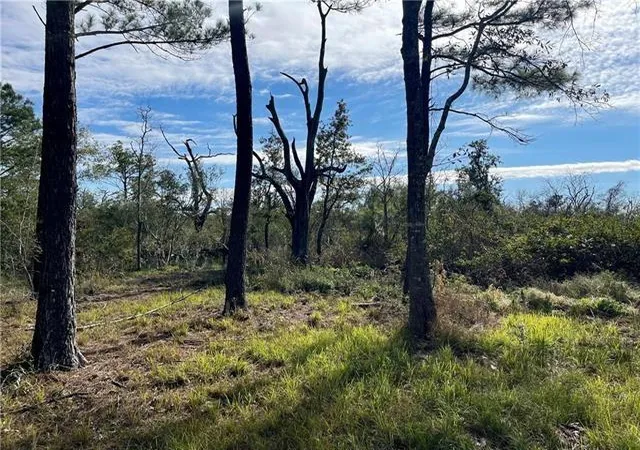 Photo 3 of Land for sale at Downey Rd, Slidell, LA 70461 | MLS# 2555268 | Listing updated on 2026-07-27