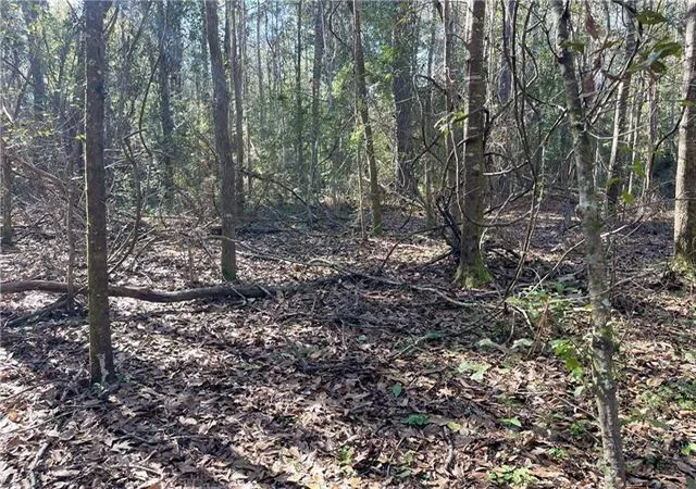 Photo 4 of Land for sale at Downey Rd, Slidell, LA 70461 | MLS# 2555268 | Listing updated on 2026-07-27