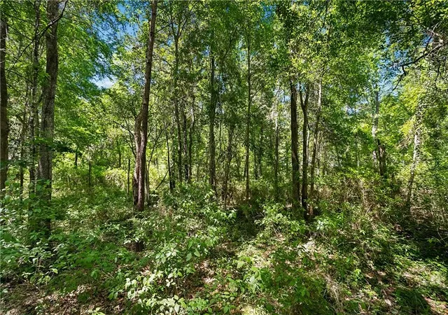 3rd image of 0 Live Oak St, Mandeville, LA 70448 | MLS# 2555582