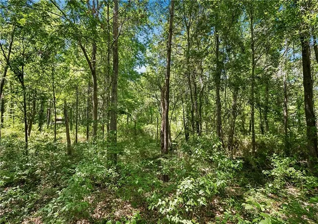 4th image of 0 Live Oak St, Mandeville, LA 70448 | MLS# 2555582