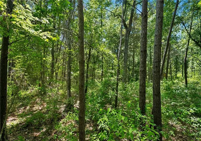 5th image of 0 Live Oak St, Mandeville, LA 70448 | MLS# 2555582