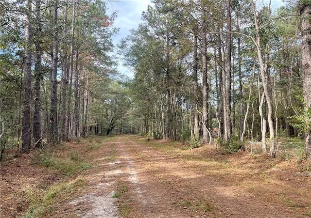 Homes for sale in Pearl River, LA | 37285 Dummyline Rd, Pearl River, LA 70452 | MLS# 2555274