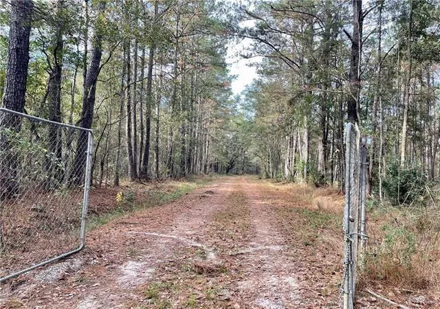 Homes for sale in Pearl River, LA | 37285 Dummyline Rd, Pearl River, LA 70452 | MLS# 2555274
