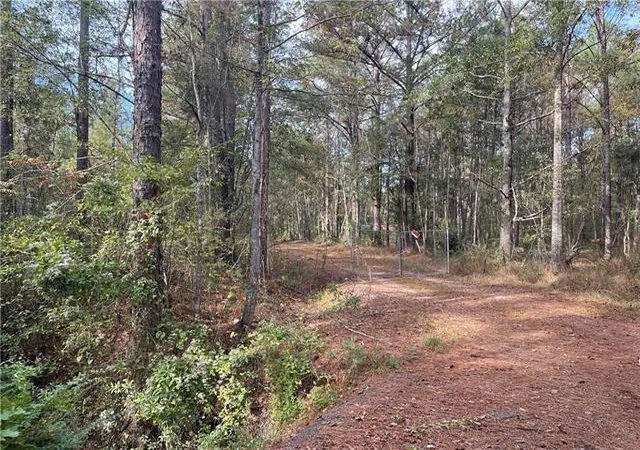 Homes for sale in Pearl River, LA | 37285 Dummyline Rd, Pearl River, LA 70452 | MLS# 2555274