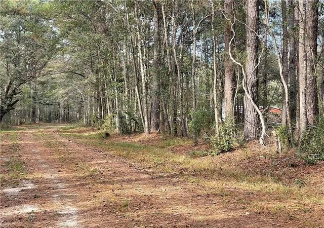 Homes for sale in Pearl River, LA | 37285 Dummyline Rd, Pearl River, LA 70452 | MLS# 2555274