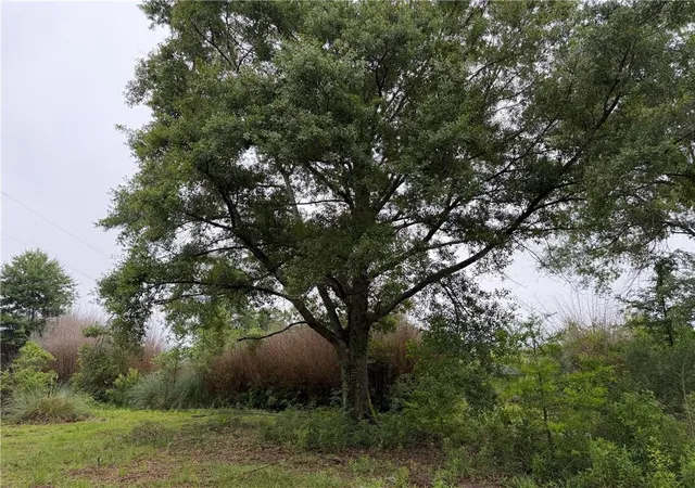 3rd image of 10315 Old Baton Rouge Hwy, Hammond, LA 70403 | MLS# 2555977
