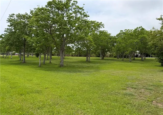 Homes for sale in Buras, LA | 36298 Hwy 11 Hwy, Buras, LA 70041 | MLS# 2556045
